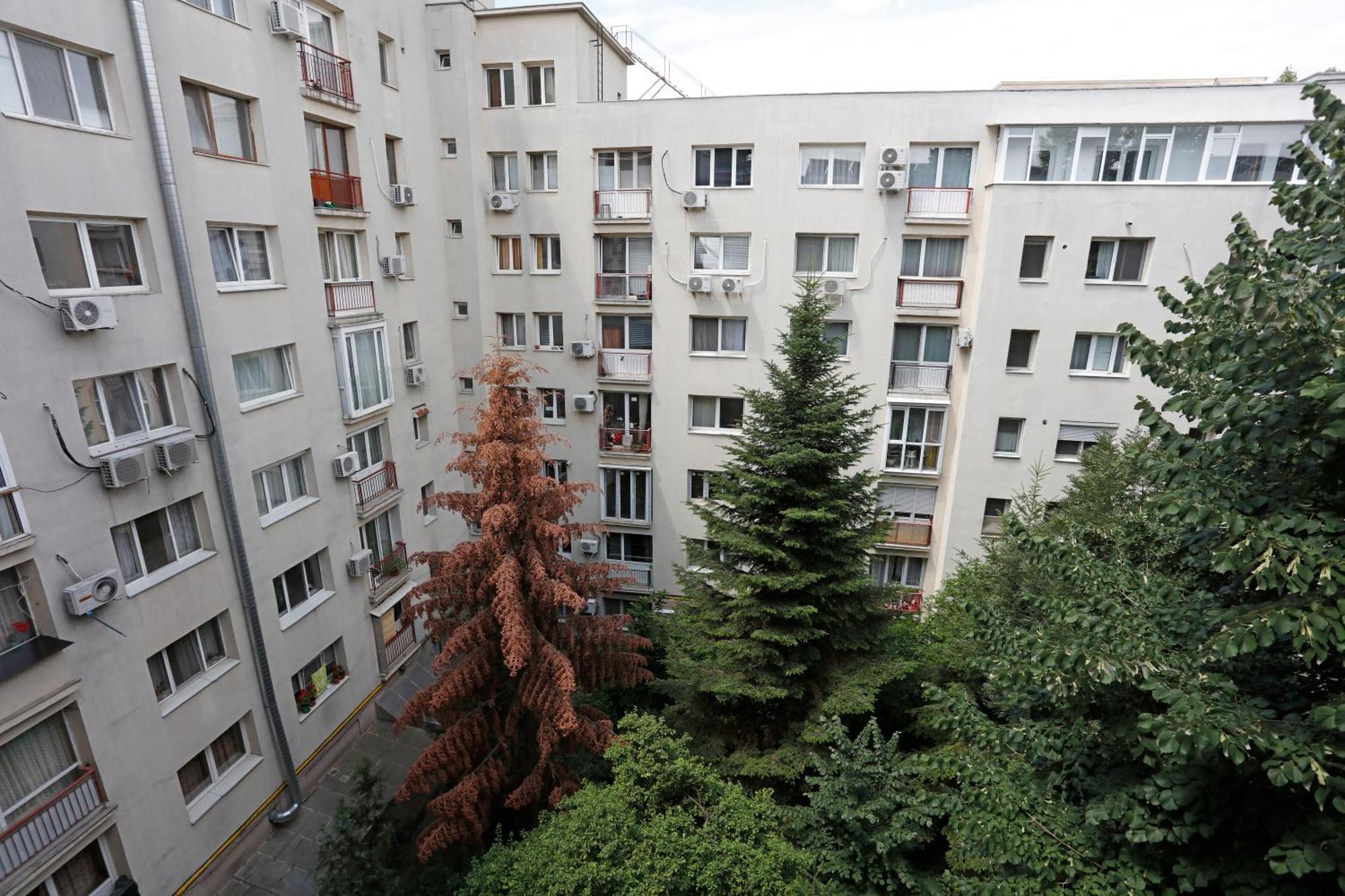 Apartament Calea Victoriei Peaceful Oasis Bucureşti